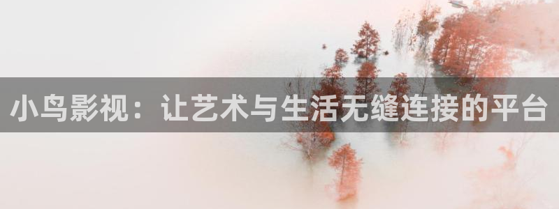 窝窝影院在线观看电视剧的注意事项：小鸟影视：让艺术与生活无缝连接的平台