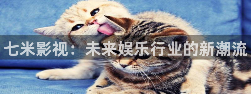 窝窝激情影院：七米影视：未来娱乐行业的新潮流