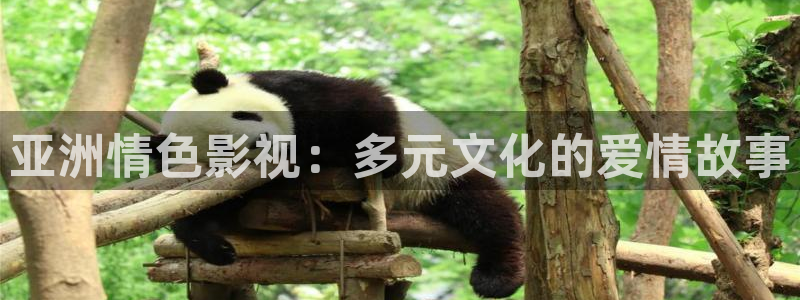窝窝免费网电影电视剧：亚洲情色影视：多元文化的爱情故事