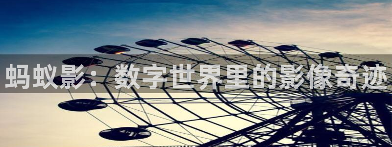 窝窝网电视剧电影大全：蚂蚁影：数字世界里的影像奇迹