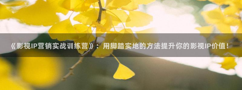 窝窝影院在线播放免费看电视剧大全：《影视IP营销实战训练营》：用脚踏实地的方法提升你的影视IP价值！