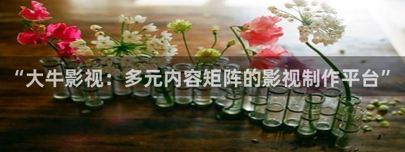 小窝窝电影：“大牛影视：多元内容矩阵的影视制作平台”
