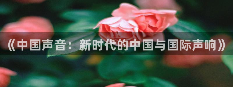 妹妹窝窝电视剧高清在线看：《中国声音：新时代的中国与国际声响》