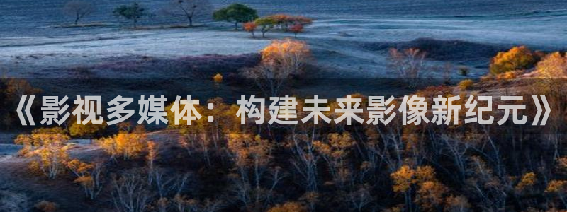 窝窝网免费看电视剧全集：《影视多媒体：构建未来影像新纪元》
