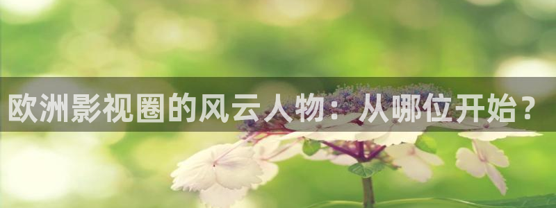 窝窝午夜影院在线观看：欧洲影视圈的风云人物：从哪位开始？