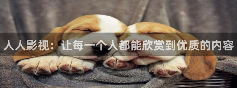 窝窝影院免费入口：人人影视：让每一个人都能欣赏到优质的内容