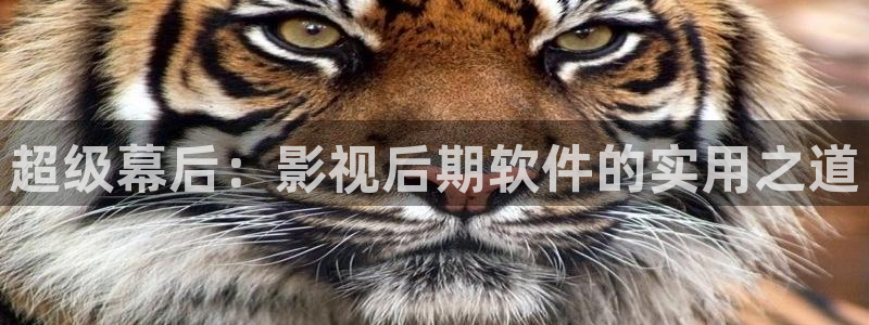 窝窝影院在线观看电视剧的注意事项：超级幕后：影视后期软件的实用之道